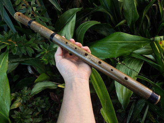Aeolian Bamboo Flute. Natural Minor | Rui Gomes
