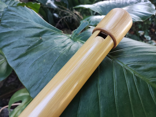 The Giant Whistle! Deep meditative Bamboo Flute in Low B | Sopro Flutes